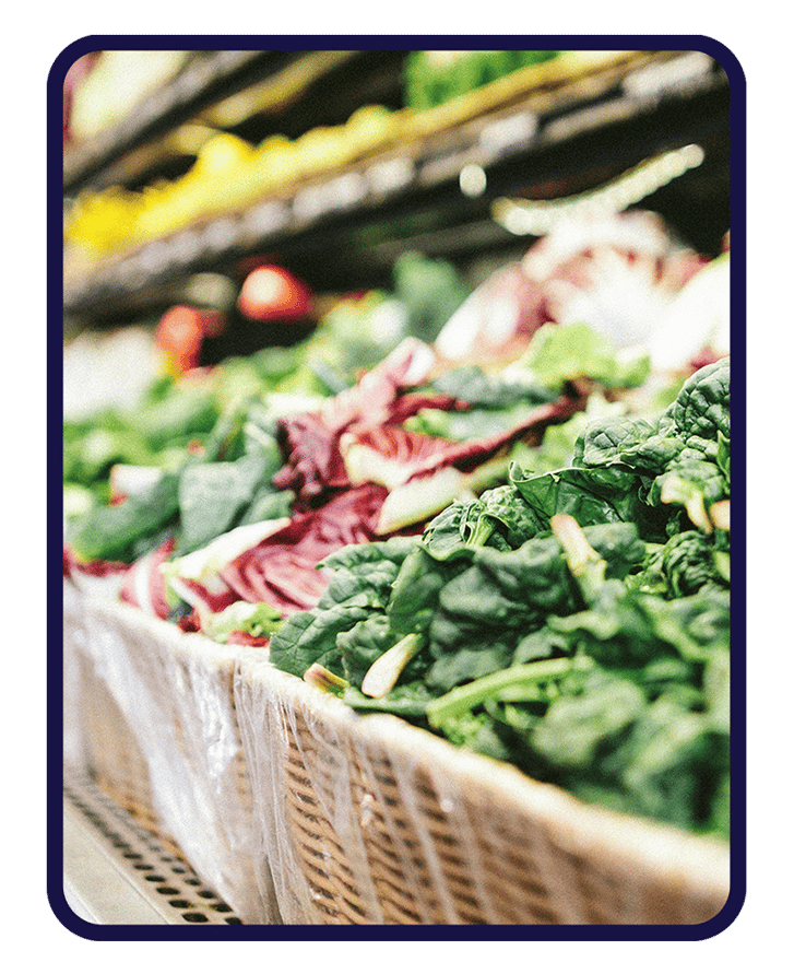 Advanced Retail Optimization Software Retail Insight